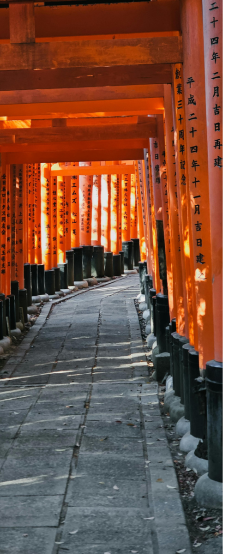 Pasillo de torii naranjas en el santuario Fushimi Inari de Kioto